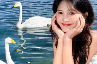下载海角吃瓜黑料91，体验各种无聊日常的酸甜苦辣！