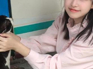 滚滚黑料社资源，独家跌宕起伏，难以自拔！